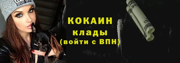 мдпв Гусь-Хрустальный