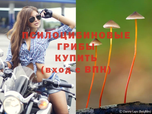 дживик Тихвин